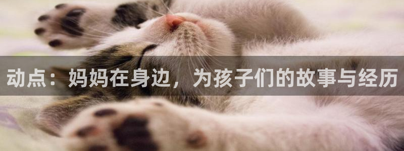 风车动漫之家官网：动点：妈妈在身边，为孩子们的故事与经历